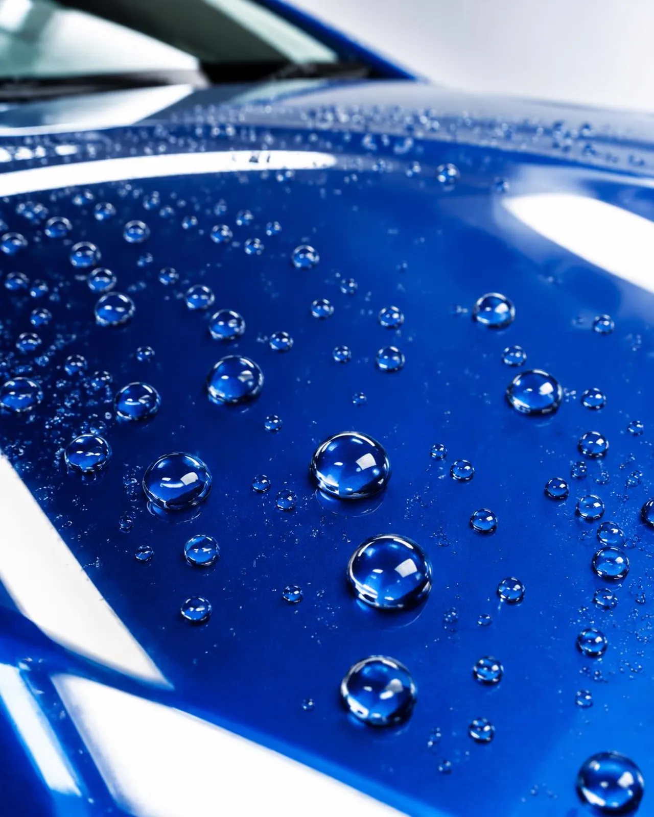 Water beading on a blue bonnet after ceramic coating